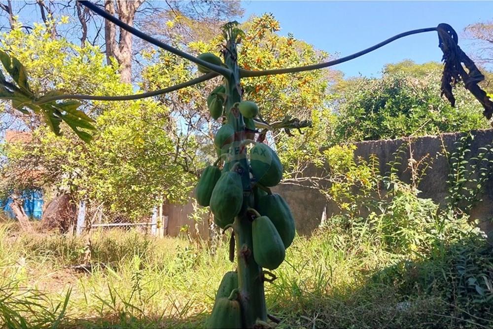 Terreno - Venda - São José dos Campos , São Paulo - 20250801_113529.jpg - 631501022-8