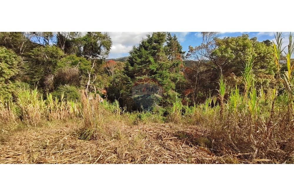 Terreno - Venda - Petrópolis , Rio de Janeiro - IMG_20250814_093310.jpg - 630131061-30