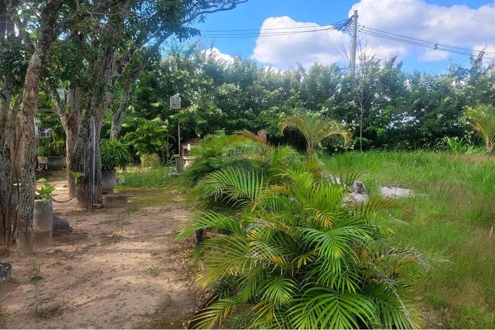 Ponto Comercial/ Loja - Alugar - Araçoiaba da Serra , São Paulo - 20250501_120746.jpg - 630601294-4