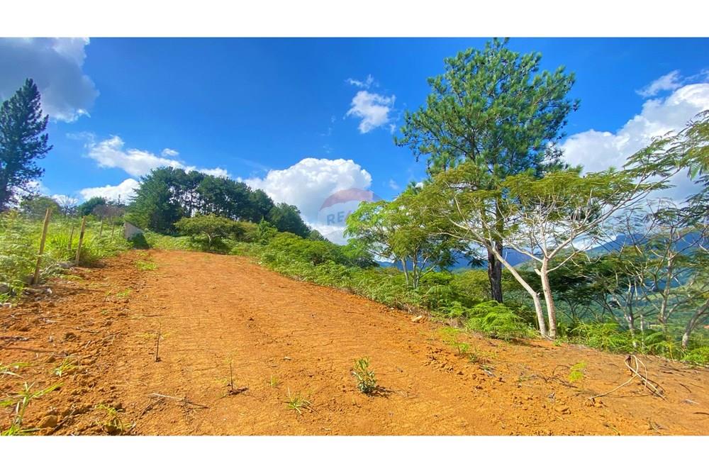 Terreno - Venda - Petrópolis , Rio de Janeiro - WhatsApp Image 2025-04-23 at 15.04.11 (1).jpg - Jardim Externo - 631611008-1