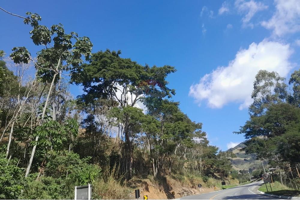 Terreno - Venda - Bom Jardim , Rio de Janeiro - WhatsApp Image 2025-08-14 at 11.01.26 (1).jpeg - 630171007-56