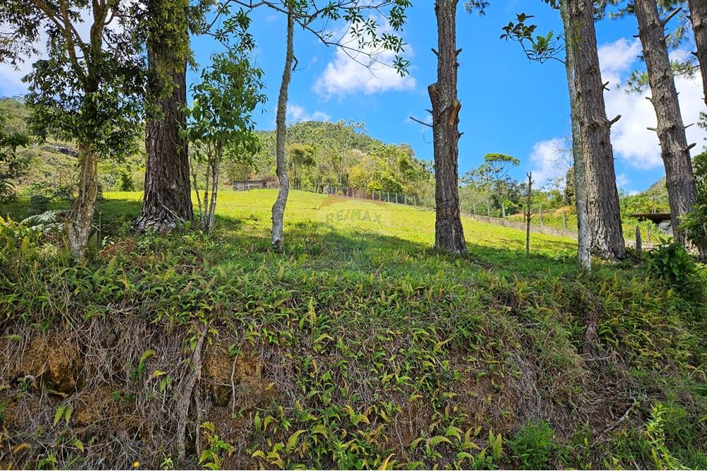 Terreno - Venda - Nova Friburgo , Rio de Janeiro - 20251111_103039.jpg - 630551024-83