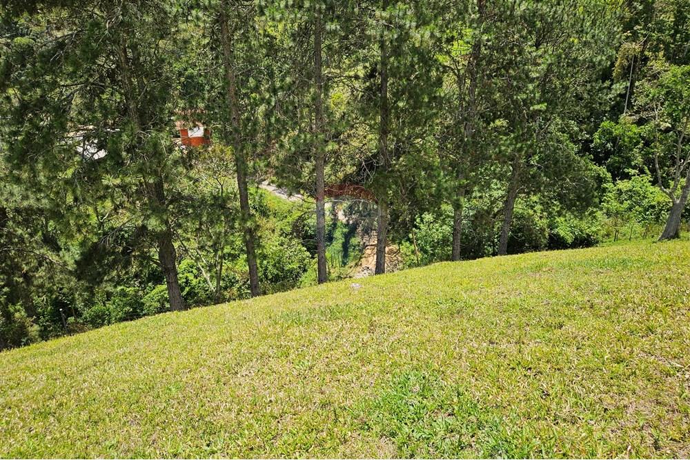 Terreno - Venda - Nova Friburgo , Rio de Janeiro - 20251111_104101.jpg - 630551024-83