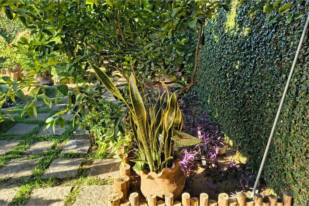 Casa - Venda - Maricá , Rio de Janeiro - b8c4164e-adde-4923-a160-8204e2f3091c.jpeg - 630121040-39