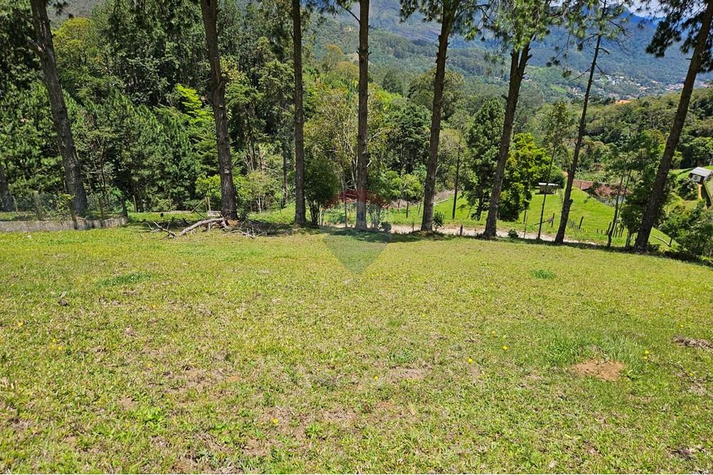 Terreno - Venda - Nova Friburgo , Rio de Janeiro - 20251111_103956.jpg - 630551024-83