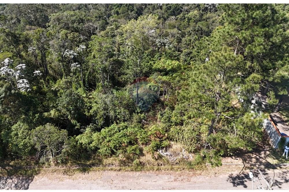 Terreno - Venda - Mogi das Cruzes , São Paulo - DJI_20250911140628_0662_D.JPG - 631251050-25