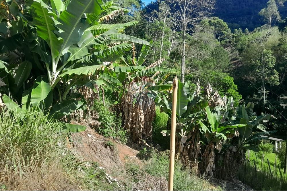 Chácara / Sítio / Fazenda - Venda - Bom Jardim , Rio de Janeiro - WhatsApp Image 2025-12-01 at 10.14.51.jpeg - 630171007-64