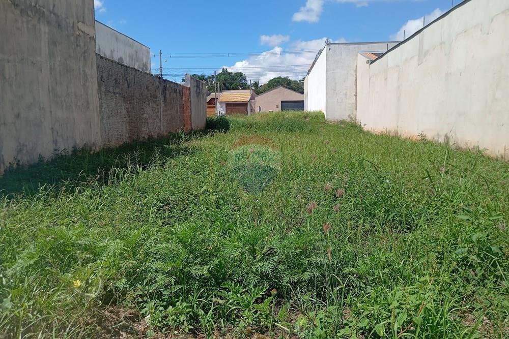 Terreno - Venda - Lins , São Paulo - IMG_20260108_100754 (1).jpg - 631011052-14