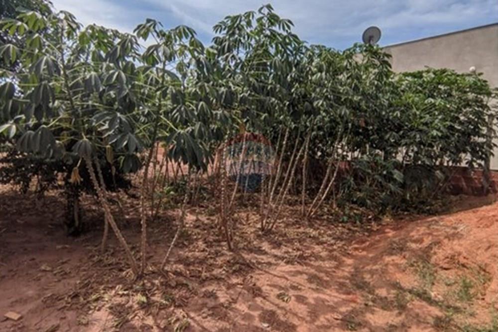 Terreno - Venda - Guaiçara , São Paulo - 10.jpeg - 630511006-203