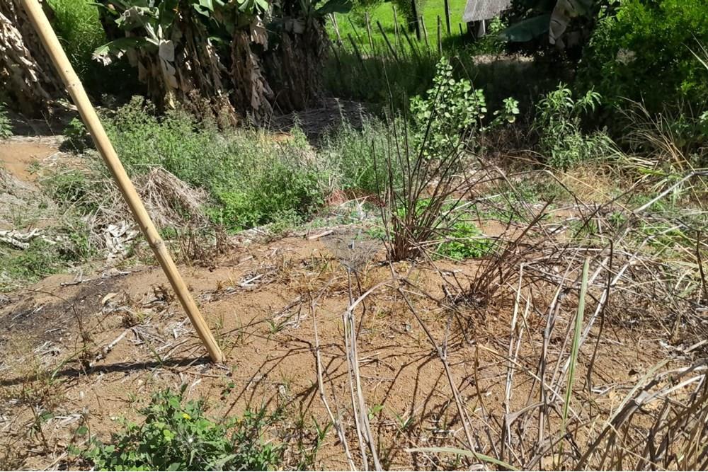 Chácara / Sítio / Fazenda - Venda - Bom Jardim , Rio de Janeiro - WhatsApp Image 2025-12-01 at 10.14.52.jpeg - 630171007-64