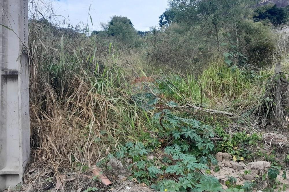 Terreno - Venda - Bom Jardim , Rio de Janeiro - WhatsApp Image 2025-07-12 at 11.28.45.jpeg - 630171007-55