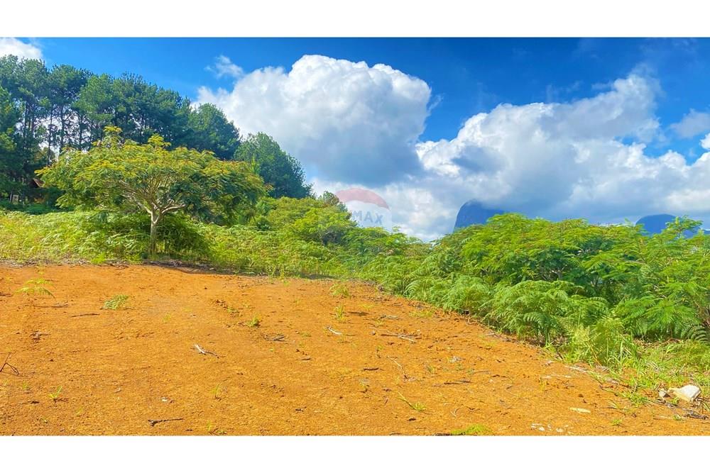 Terreno - Venda - Petrópolis , Rio de Janeiro - WhatsApp Image 2025-04-23 at 15.04.08 (1).jpg - Jardim Externo - 631611008-1