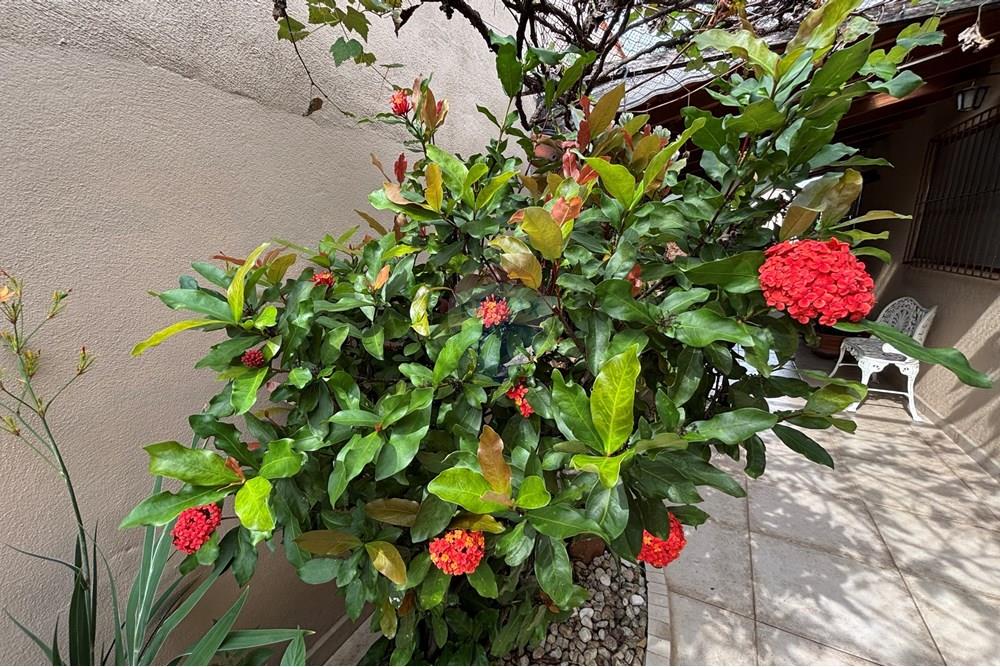 Casa - Venda - Taubaté , São Paulo - IMG_5501.JPG - 630961004-474