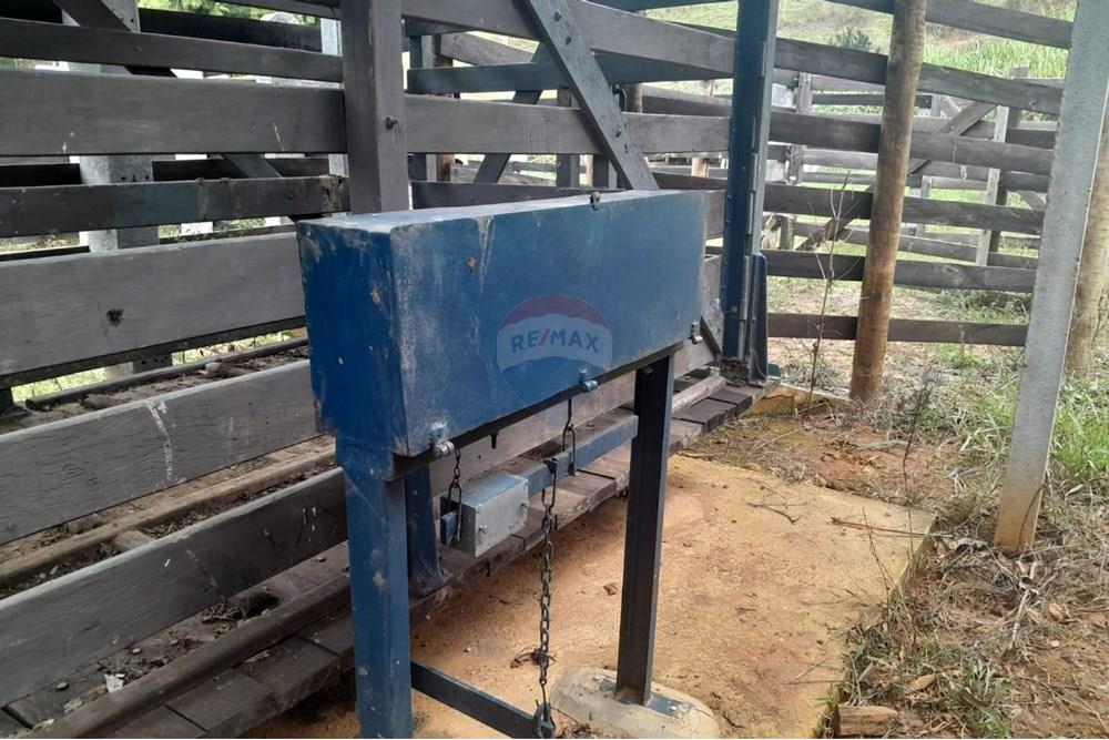 Agro - Venda - Santa Maria Madalena , Rio de Janeiro - WhatsApp Image 2025-05-29 at 13.32.47.jpeg - 630171007-50