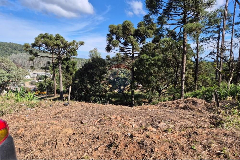 Terreno - Venda - Apiaí , São Paulo - WhatsApp Image 2025-06-05 at 14.41.05 (1).jpeg - 630241006-11