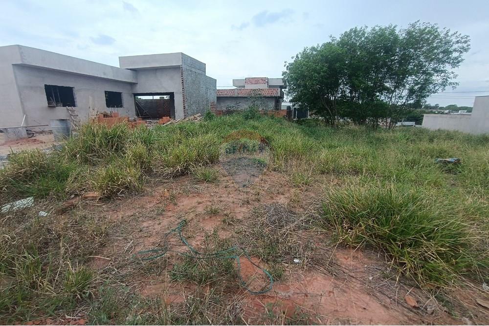 Terreno - Venda - Presidente Prudente , São Paulo - IMG_20251028_120128.jpg - 630861066-13