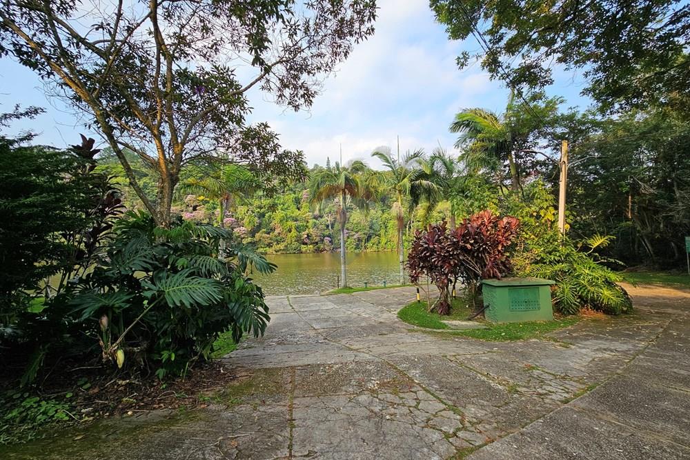 Casa - Venda - Mairiporã , São Paulo - 20260305_165711.jpg (1).jpeg - 631361054-4