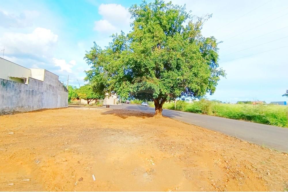 Terreno - Venda - Penápolis , São Paulo - WhatsApp Image 2025-03-15 at 10.21.45 (2).jpeg - 631191013-102