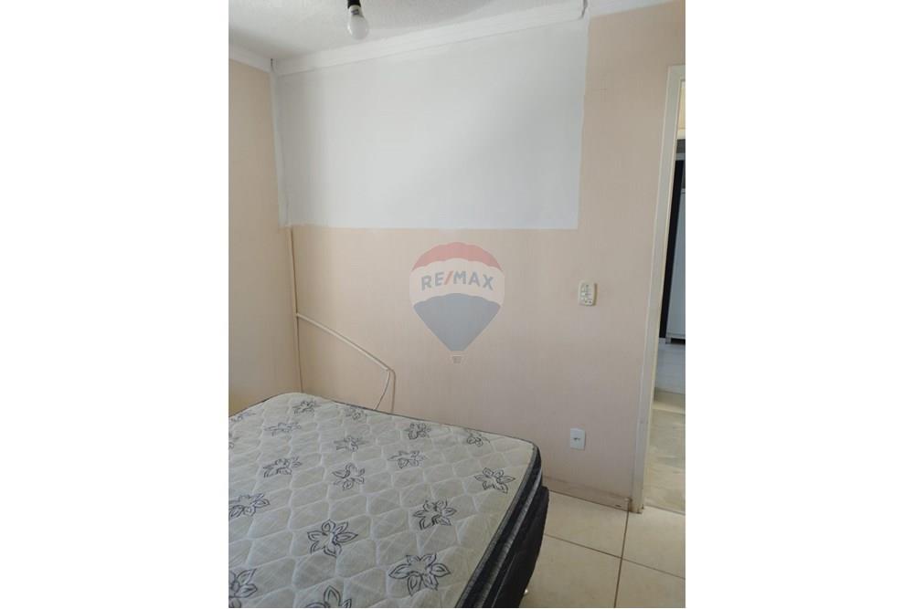 Apartamento - Alugar - Araçatuba , São Paulo - IMG-20251208-WA0088.jpg - 630541060-1