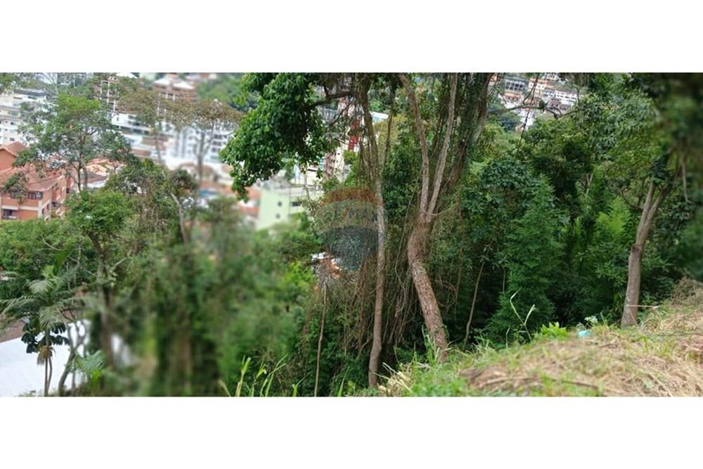 Terreno - Venda - Teresópolis , Rio de Janeiro - 9.jpg - 630191064-62