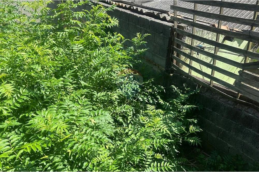 Terreno - Venda - Mauá , São Paulo - WhatsApp Image 2025-02-20 at 10.31.16 (11).jpeg - 630751044-149