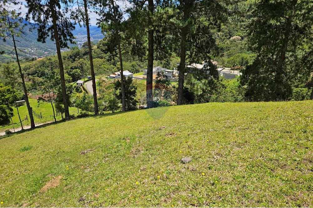 Terreno - Venda - Nova Friburgo , Rio de Janeiro - 20251111_104020.jpg - 630551024-83