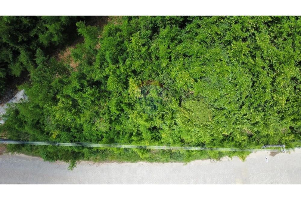 Terreno - Venda - Teresópolis , Rio de Janeiro - WhatsApp Image 2026-02-05 at 09.35.40.jpeg - 630191021-146