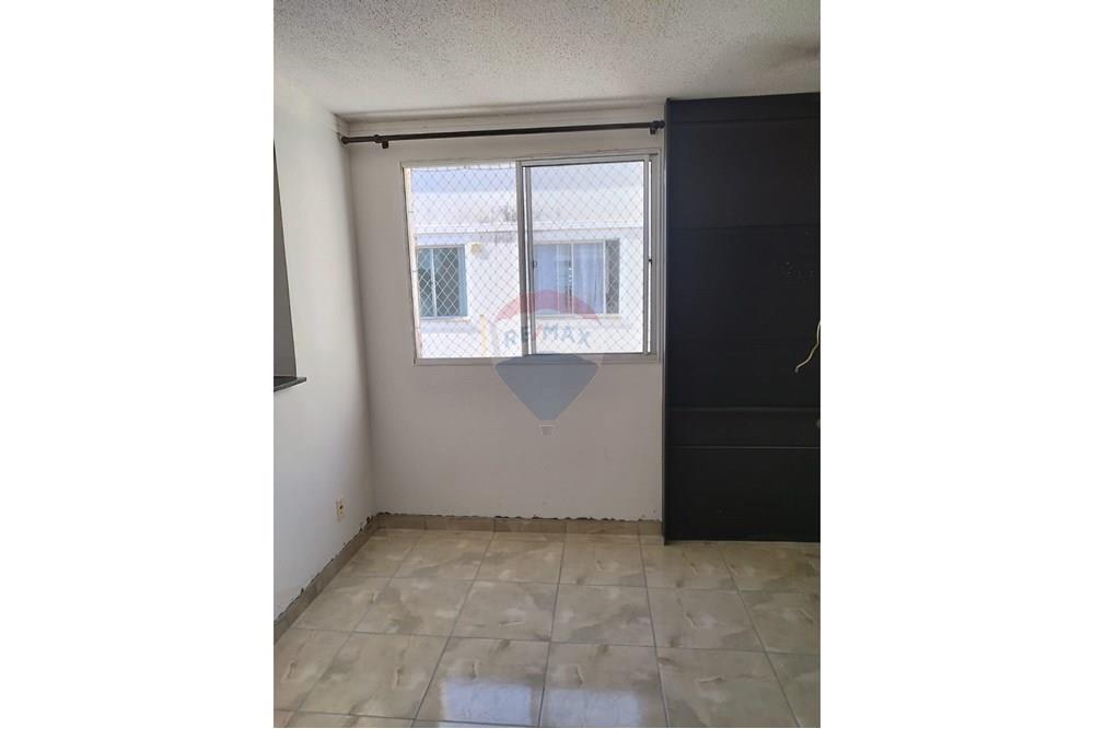 Apartamento - Alugar - Araçatuba , São Paulo - IMG-20251208-WA0101.jpg - 630541060-1