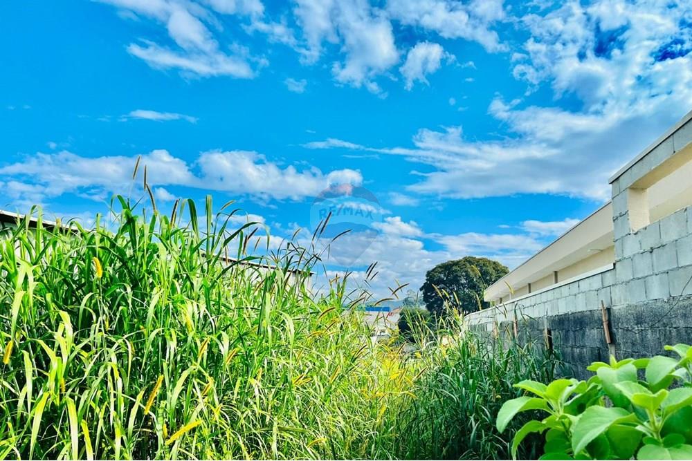 Terreno - Venda - Mogi das Cruzes , São Paulo - WhatsApp Image 2025-06-26 at 19.41.57.jpeg - 630281055-35