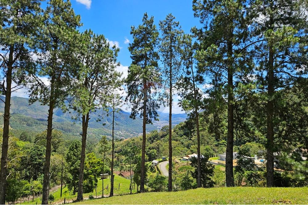 Terreno - Venda - Nova Friburgo , Rio de Janeiro - 20251111_104007.jpg - 630551024-83