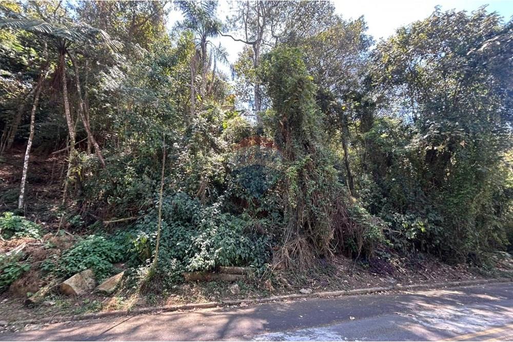 Terreno - Venda - Mairiporã , São Paulo - Imagem do WhatsApp de 2025-09-22 à(s) 14.41.19_a7c9aa69.jpg - 631361005-148