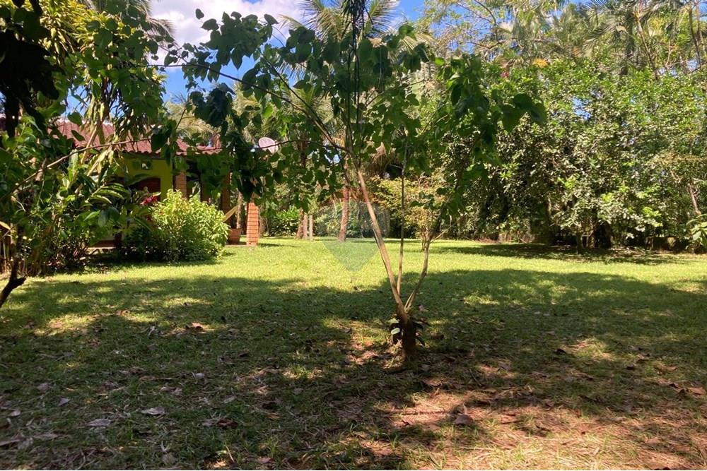 Terreno - Venda - São Sebastião , São Paulo - Terreno á venda Maresias (65).jpg - Jardim Externo - 631461028-8