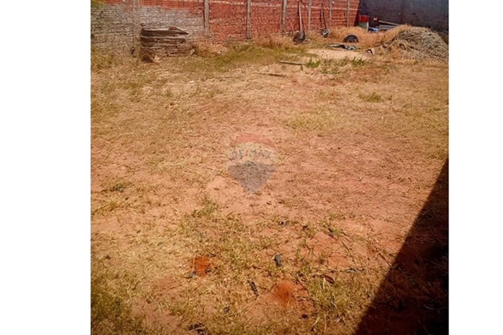 Terreno - Venda - Lins , São Paulo - Terreno Chaves (5).jpg - 631011052-1