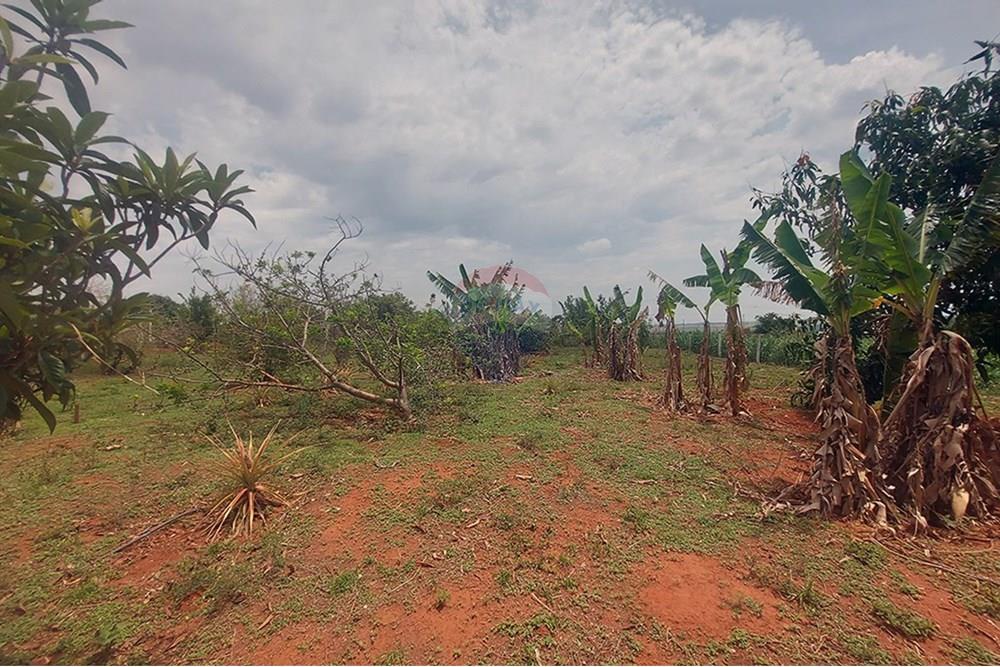 Chácara / Sítio / Fazenda - Venda - Taciba , São Paulo - Chacara Taciba (10).jpg - 630861066-19