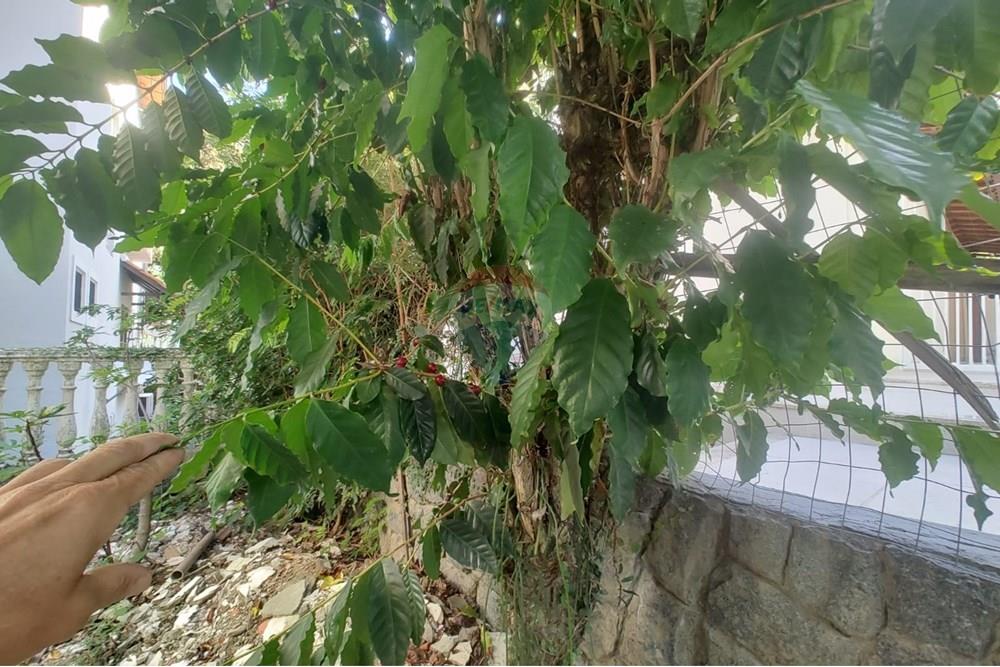 Casa de Condomínio - Venda - Niterói , Rio de Janeiro - c945814a-c2ea-459b-9913-eb3922e19bf1.jpeg - 630121040-22