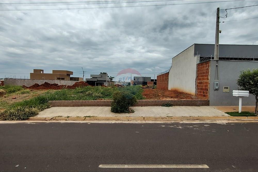 Terreno - Venda - Mirassol , São Paulo - IMG_20251202_115003507_HDR.jpg - 630401039-14