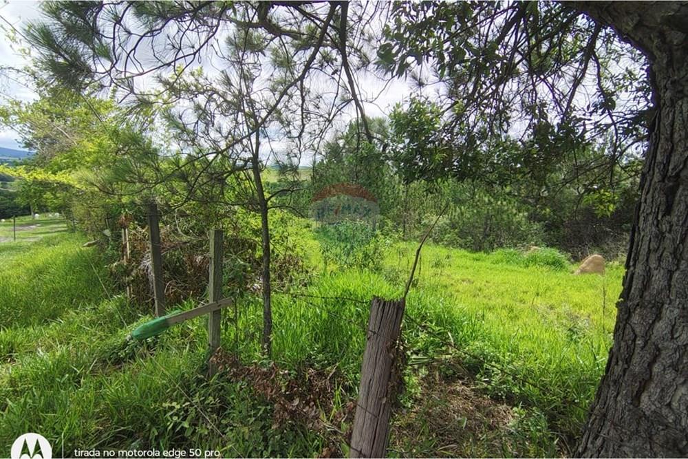 Terreno - Venda - Boituva , São Paulo - WhatsApp Image 2026-03-24 at 15.30.08 (1).jpeg - 630601260-17