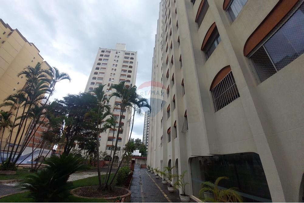 Apartamento - Alugar - São José dos Campos , São Paulo - WhatsApp Image 2025-11-17 at 16.16.49 (1).jpeg - 631471032-38