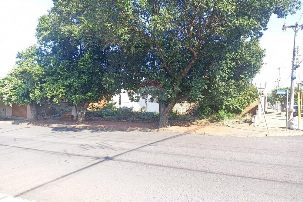 Terreno - Venda - Andradina , São Paulo - WhatsApp Image 2025-04-10 at 17.34.54.jpeg - 631201029-54