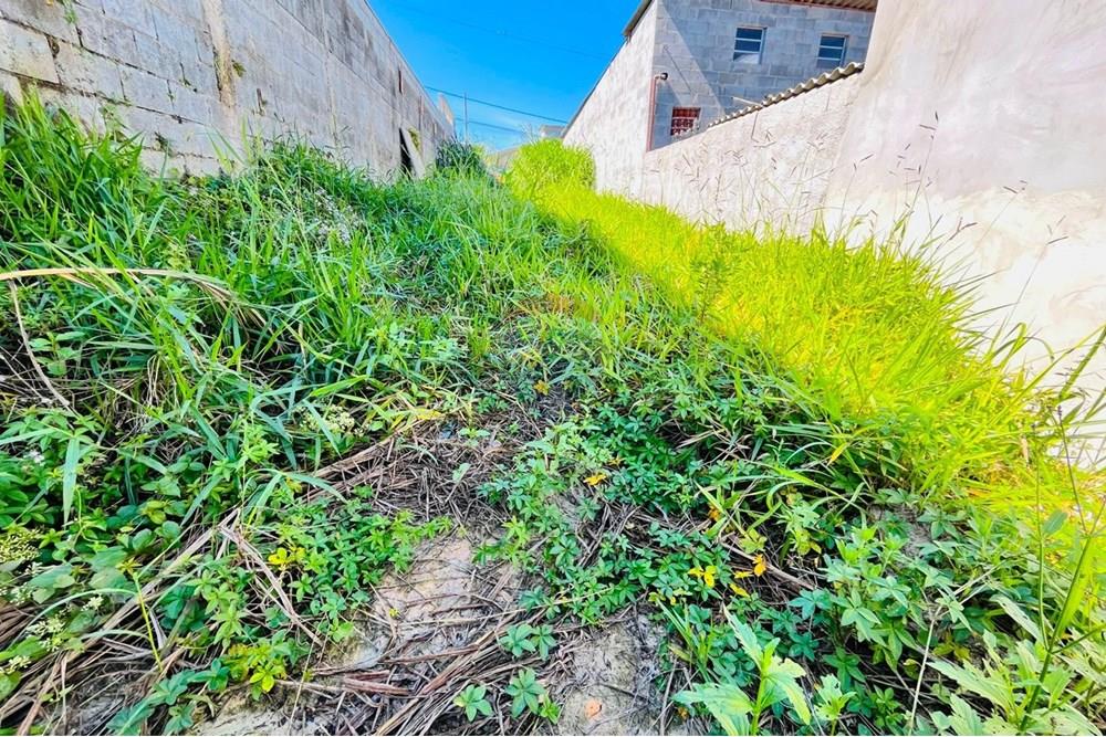 Terreno - Venda - Mogi das Cruzes , São Paulo - WhatsApp Image 2025-05-16 at 14.49.00.jpeg - 630281055-35