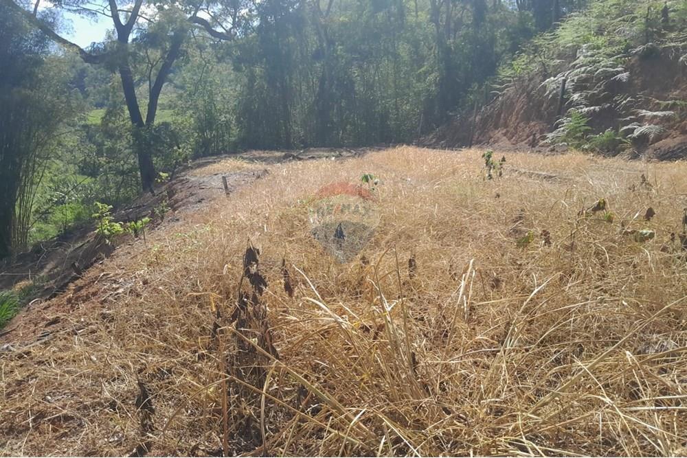 Chácara / Sítio / Fazenda - Venda - Bom Jardim , Rio de Janeiro - WhatsApp Image 2025-12-01 at 11.52.26.jpeg - 630171007-63