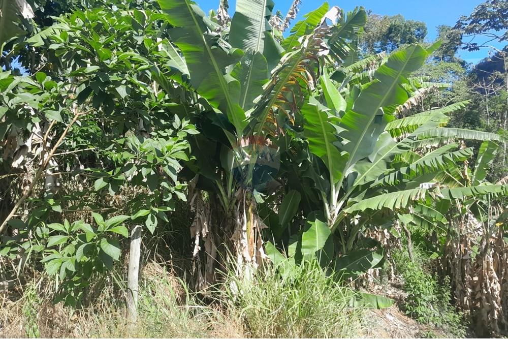 Chácara / Sítio / Fazenda - Venda - Bom Jardim , Rio de Janeiro - WhatsApp Image 2025-12-01 at 10.14.51 (1).jpeg - 630171007-64