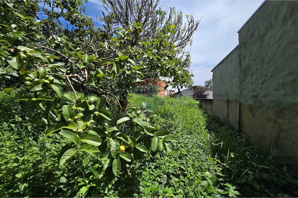 Terreno - Venda - Botucatu , São Paulo - 20260214_111121.jpg - 630481020-61