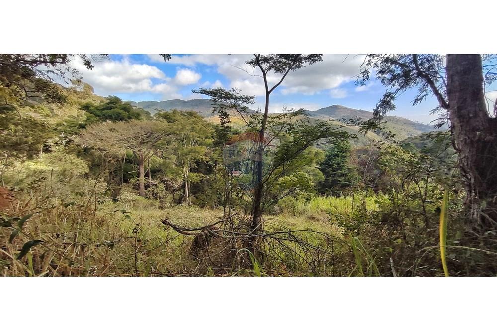 Terreno - Venda - Petrópolis , Rio de Janeiro - IMG_20250814_091511.jpg - 630131061-30