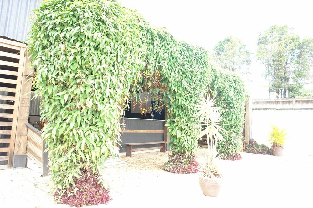 Galpão - Alugar - Votorantim , São Paulo - DSC00613.JPG - 631701010-5