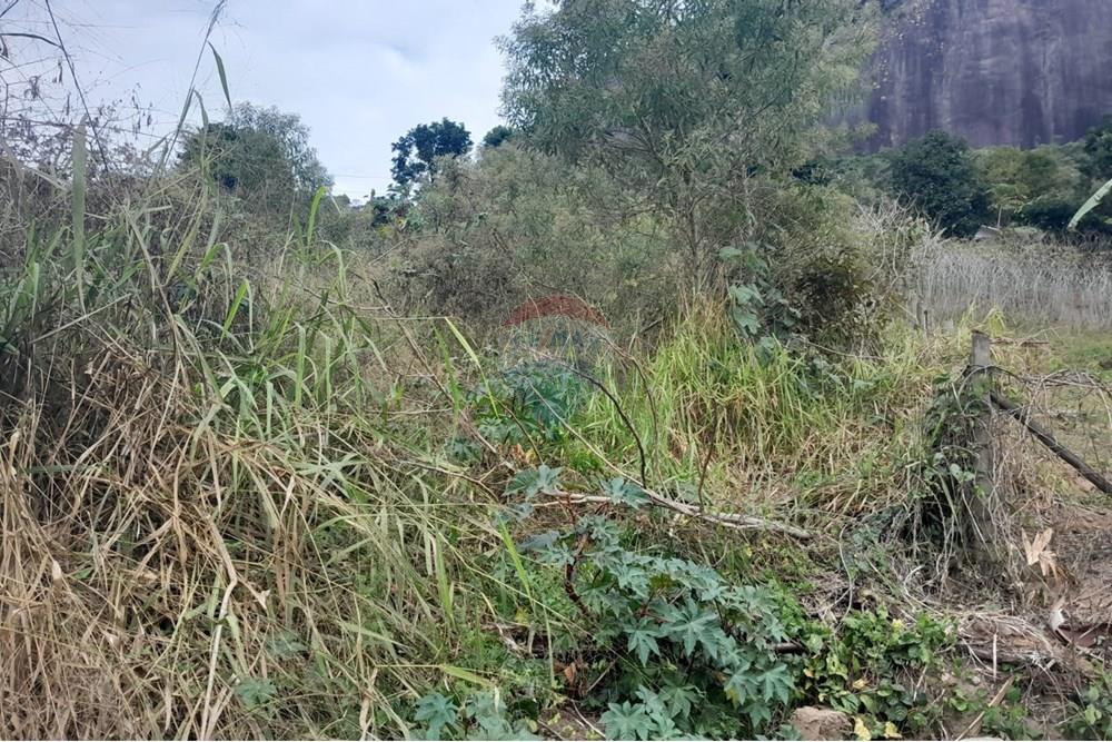 Terreno - Venda - Bom Jardim , Rio de Janeiro - WhatsApp Image 2025-07-12 at 11.28.42 (2).jpeg - 630171007-55