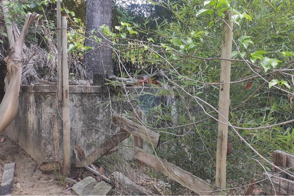 Terreno - Venda - Paraíba do Sul , Rio de Janeiro - IMG_20251106_135904.jpg - 631411001-102