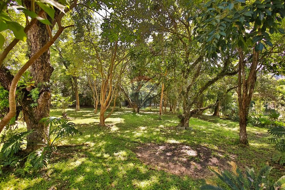 Chácara / Sítio / Fazenda - Venda - São Roque , São Paulo - IMG_0033.jpg - 631601019-36