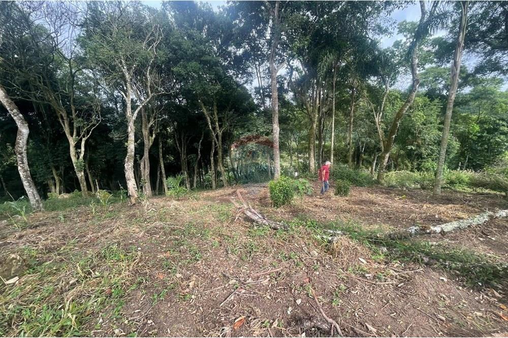 Chácara à venda com 2 quartos, 15340m² - Foto 11