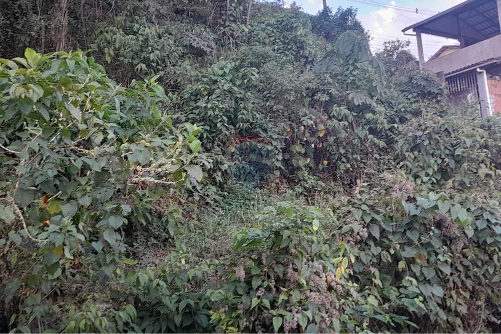 Apartamento - Venda - Bom Jardim , Rio de Janeiro - WhatsApp Image 2026-02-23 at 14.07.38 (1).jpeg - 630171007-66